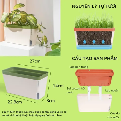 ✨ Combo Chậu Nhựa Nhỏ Xinh Xắn: Trang Trí Góc Yêu Thêm Sinh Động.