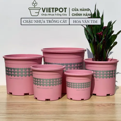 Chậu Cây Nhựa VIETPOT Màu Hồng - Tô điểm cho không gian nhà bạn thêm lãng mạn!