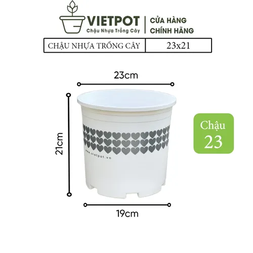 Chậu Nhựa Trắng trồng cây VIETPOT - Tôn vẻ đẹp Sang trọng Cho Không gian nhà bạn!