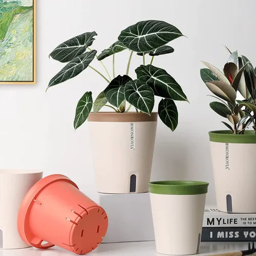 🌼Chậu Nhựa Trồng Cây cao cấp Monrovia Tự Tưới – Phong Cách Nhật Bản Sang Trọng, Trang Trí Nhà & Văn Phòng.