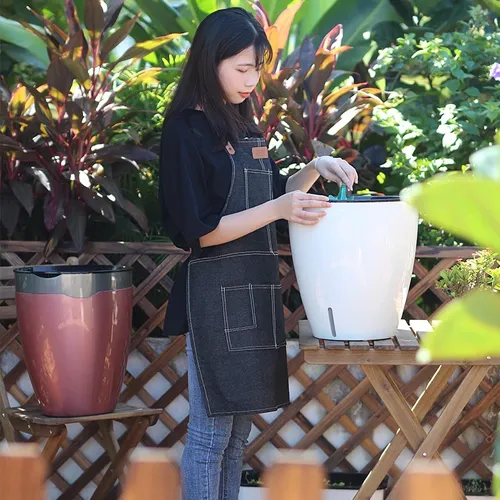 🌞 Chậu Cây Cảnh Đẹp, Thông minh,  Ấn Tượng.