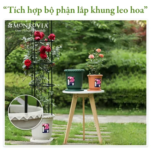 🌺 Chậu Nhựa Tròn: Lựa Chọn Hoàn Hảo Cho Khu Vườn Xinh Của Bạn.