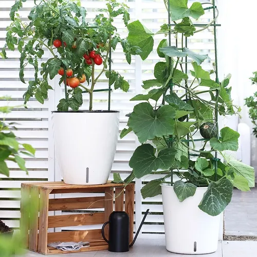 🔥 Chậu Nhựa Tròn Trồng Cây Cỡ Lớn Siêu Bền - Lựa Chọn Hoàn Hảo Cho Không Gian Xanh Mát!