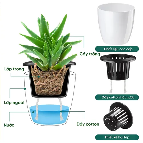 🔥 Chậu Nhựa Trồng Cây Thông Minh | Tiện Lợi, Dễ Dàng Chăm Sóc.