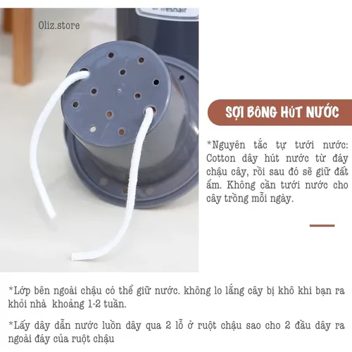 🌺 Chậu Nhựa Trồng Cây Thông Minh Oliz TA0: Thoát Nước Tốt, Giữ Ẩm Hiệu Quả.