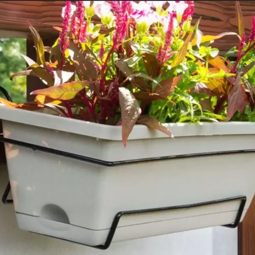 Chậu Nhựa Trồng Cây Ban Công- Biến Ban Công Thành Vườn Xanh mát.