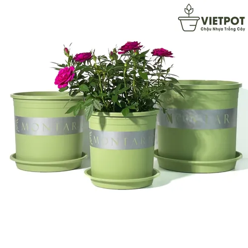 Chậu nhựa trồng cây cảnh VIETPOT xanh Mint MONTARIO – Đẹp hiện đại.