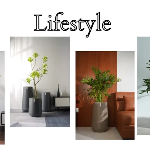 🌼Chậu Nhựa Tròn Trồng Cây Cỡ Lớn ZX Monrovia Premium – Chậu Tự Tưới Thông Minh.