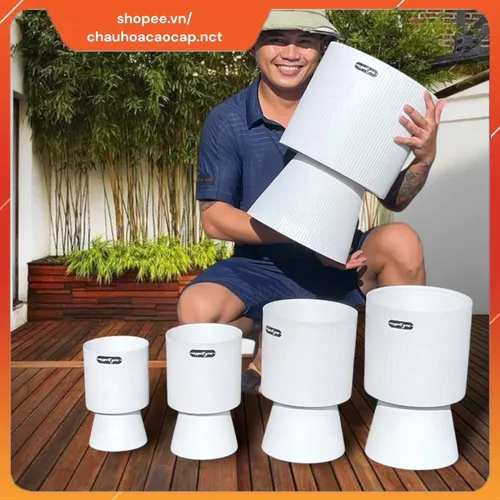 ☀️Chậu Nhựa Trồng Cây Để Bàn, Ban Công - Thiết Kế Chân Cao Độc Đáo, Thu Hút