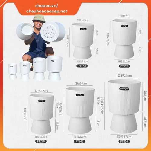 ☀️Chậu Nhựa Trồng Cây Để Bàn, Ban Công - Thiết Kế Chân Cao Độc Đáo, Thu Hút