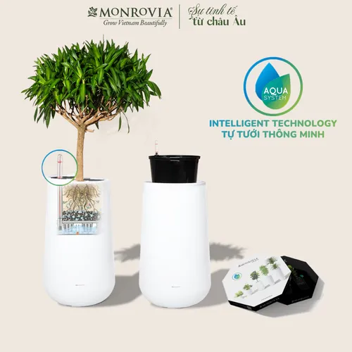 🌼Chậu Nhựa Tròn Trồng Cây Cỡ Lớn ZX Monrovia Premium – Chậu Tự Tưới Thông Minh.