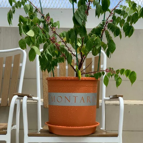 Chậu Cây Cảnh Nhựa VIETPOT, Màu Cam - Đưa Sắc Màu Tươi Mới Vào Không Gian Sống.