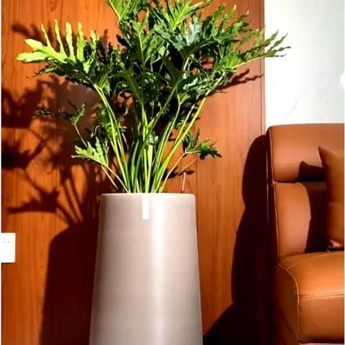 🌼Chậu Nhựa Tròn Trồng Cây Cỡ Lớn ZX Monrovia Premium – Chậu Tự Tưới Thông Minh.