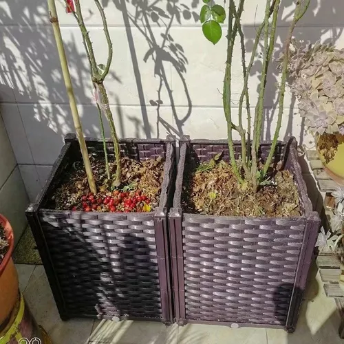 🌿 CHẬU NHỰA TRỒNG CÂY LẮP GHÉP – GIẢI PHÁP THÔNG MINH CHO ĐÔ THỊ HIỆN ĐẠI!