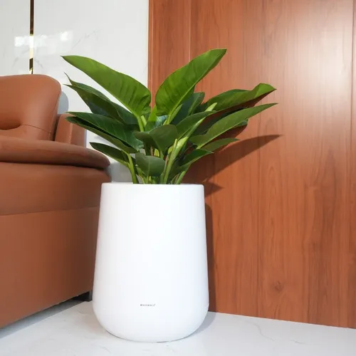 🌼Chậu Nhựa Tròn Trồng Cây Cỡ Lớn ZX Monrovia Premium – Chậu Tự Tưới Thông Minh.