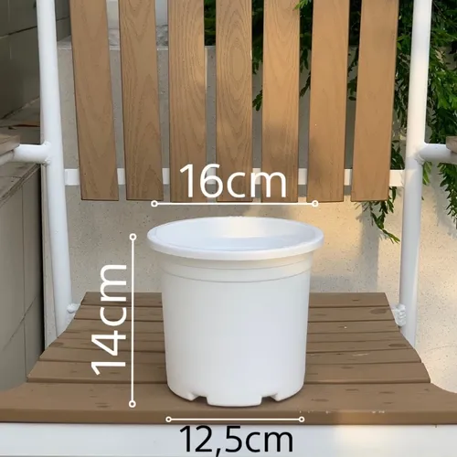 Chậu Nhựa Trắng VIETPOT – Điểm nhấn Sang trọng cho Không gian của Bạn.