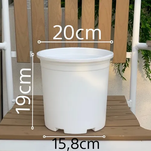 Chậu Nhựa Trắng VIETPOT – Điểm nhấn Sang trọng cho Không gian của Bạn.