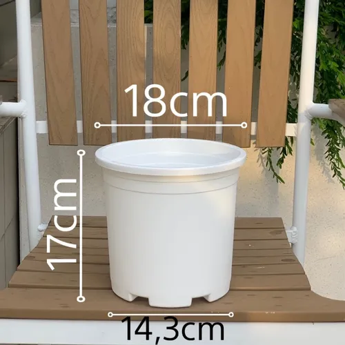 Chậu Nhựa Trắng VIETPOT – Điểm nhấn Sang trọng cho Không gian của Bạn.