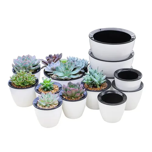 🔥 Chậu Nhựa Trồng Cây Thông Minh | Tiện Lợi, Dễ Dàng Chăm Sóc.