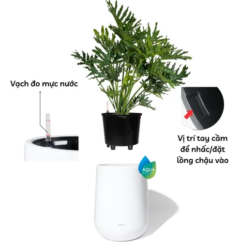 🌼Chậu Nhựa Tròn Trồng Cây Cỡ Lớn ZX Monrovia Premium – Chậu Tự Tưới Thông Minh.