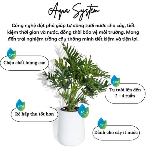 🌼Chậu Nhựa Tròn Trồng Cây Cỡ Lớn ZX Monrovia Premium – Chậu Tự Tưới Thông Minh.