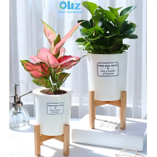 🌺 Chậu Nhựa Trồng Cây Thông Minh Oliz TA0: Thoát Nước Tốt, Giữ Ẩm Hiệu Quả.