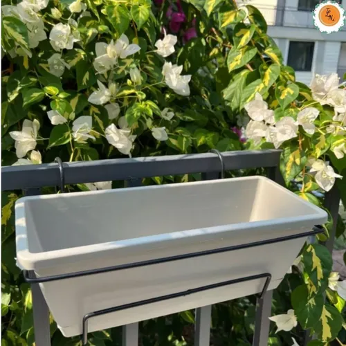 Chậu Nhựa Trồng Cây Ban Công- Biến Ban Công Thành Vườn Xanh mát.