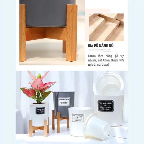 🌺 Chậu Nhựa Trồng Cây Thông Minh Oliz TA0: Thoát Nước Tốt, Giữ Ẩm Hiệu Quả.