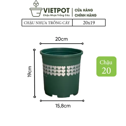 🌸Chậu Nhựa Trồng Hoa Cao Cấp | Nhựa Bền Màu, Thiết Kế Tinh Tế.