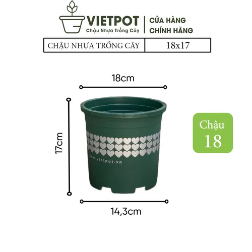 🌸Chậu Nhựa Trồng Hoa Cao Cấp | Nhựa Bền Màu, Thiết Kế Tinh Tế.