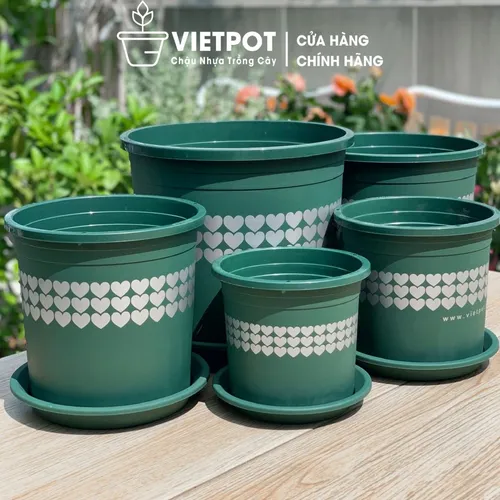 🌸Chậu Nhựa Trồng Hoa Cao Cấp | Nhựa Bền Màu, Thiết Kế Tinh Tế.