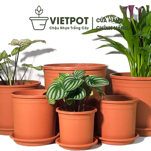 Chậu Nhựa Trồng Hoa Màu Cam VIETPOT – Sắc Màu Tươi Sáng Cho Không Gian Nhà Bạn.