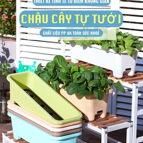🌱 Chậu Trồng Rau Tự tưới – Dễ Dàng Trồng Rau Tại Nhà.