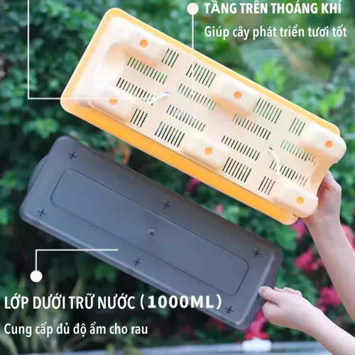 🌿 Chậu Nhựa Trồng Rau Sạch – Dễ Dàng Sử Dụng, Tiết Kiệm Chi Phí.