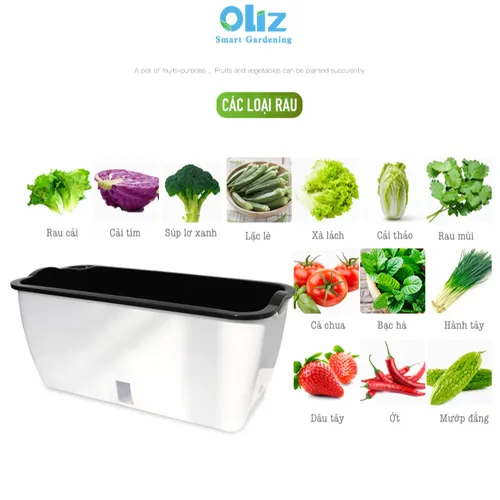 🏡 Chậu Trồng Rau Thông Minh – Tự Động Tưới Nước, Phát Triển Mạnh Mẽ.