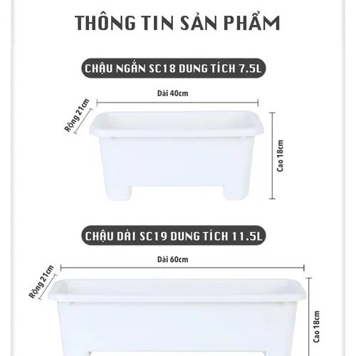 🌱 Chậu Trồng Rau Tự tưới – Dễ Dàng Trồng Rau Tại Nhà.
