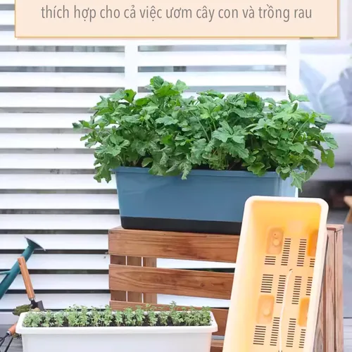🌿 Chậu Nhựa Trồng Rau Sạch – Dễ Dàng Sử Dụng, Tiết Kiệm Chi Phí.