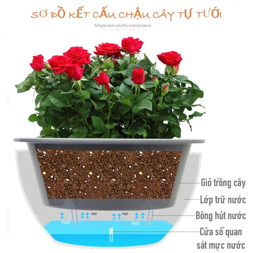 🌻 Chậu Trồng Cây Thông Minh – Giúp Bạn Trồng Cây Mà Không Lo Quên Tưới.