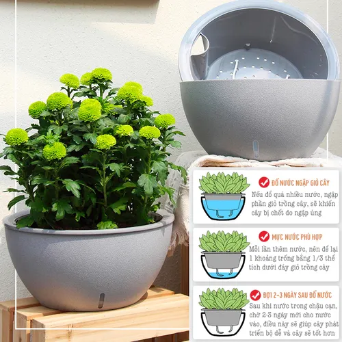 🌻 Chậu Trồng Cây Thông Minh – Giúp Bạn Trồng Cây Mà Không Lo Quên Tưới.