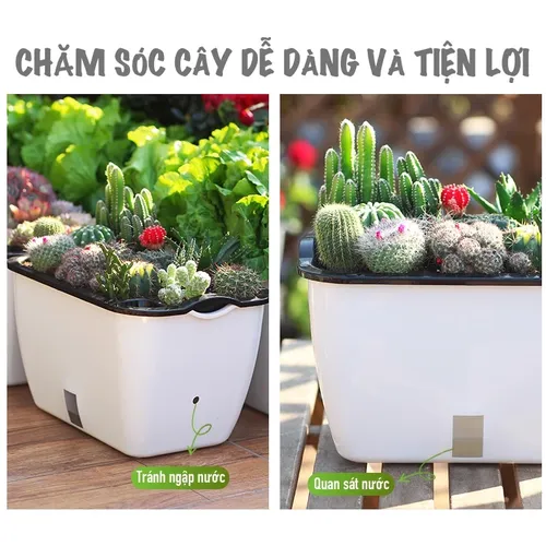 🏡 Chậu Trồng Rau Thông Minh – Tự Động Tưới Nước, Phát Triển Mạnh Mẽ.