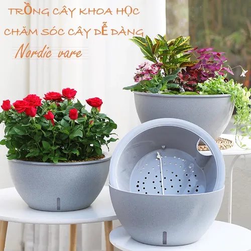 🌻 Chậu Trồng Cây Thông Minh – Giúp Bạn Trồng Cây Mà Không Lo Quên Tưới.