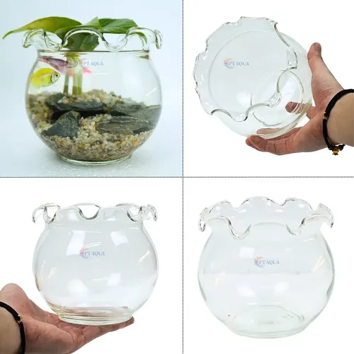 Chậu hoa thủy tinh đẹp – Hồ cá mini trang trí bàn làm việc, góc phòng siêu xinh.