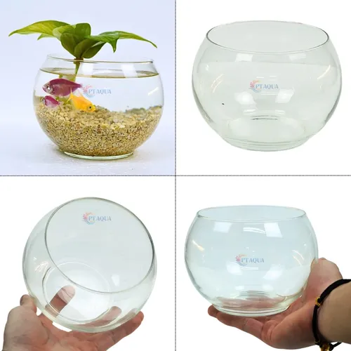 Chậu hoa thủy tinh đẹp – Hồ cá mini trang trí bàn làm việc, góc phòng siêu xinh.