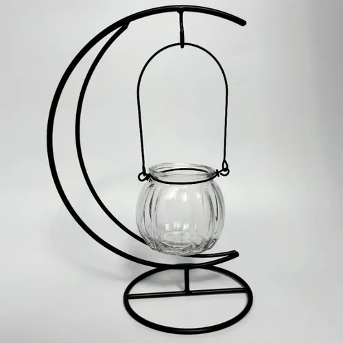 🔥 [HOT] Chậu Thủy Tinh Trồng Cây Mini Để Bàn | Decor Xinh Xắn, Tinh Tế.