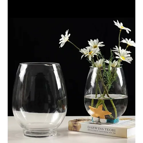 🌿 Chậu Cây Thuỷ Sinh Mini | Dễ Chăm Sóc, Tạo Không Gian Xanh Mát.