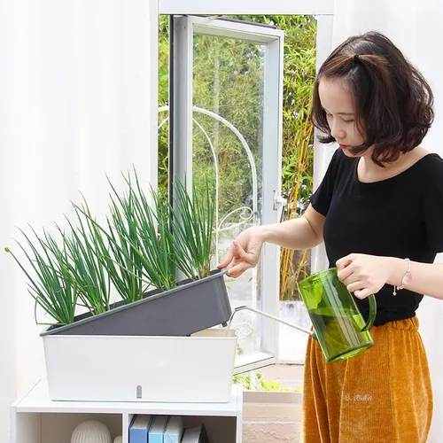 🌿 Chậu Treo Ban Công Thông Minh | Tự Tưới, Chất Liệu Bền Bỉ.