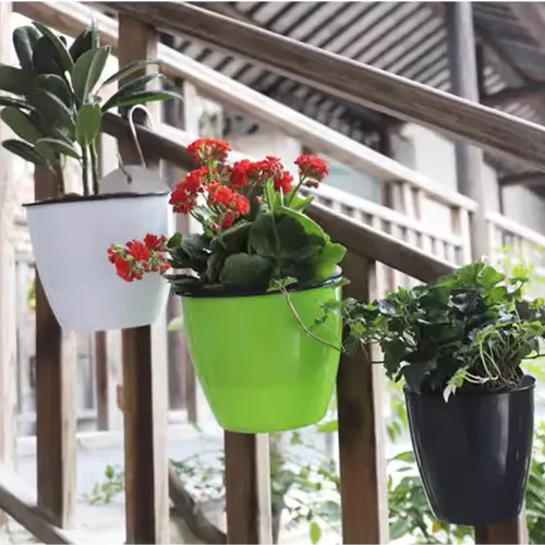 👍 Chậu Treo Tường: Tiết Kiệm Không Gian, Trang Trí Nhà Cực Đẹp.