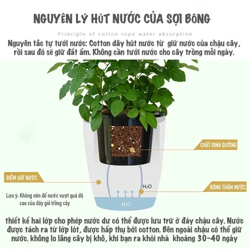 🌿 Chậu Trồng Cây Cảnh Thông Minh - Cho Không Gian Xanh Tiện Lợi.