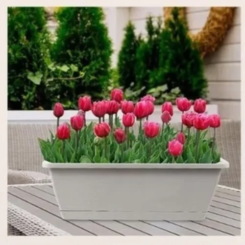 Chậu Cây Treo Ban Công Monrovia – Biến Ban Công Thành Khu Vườn Tươi Mát.