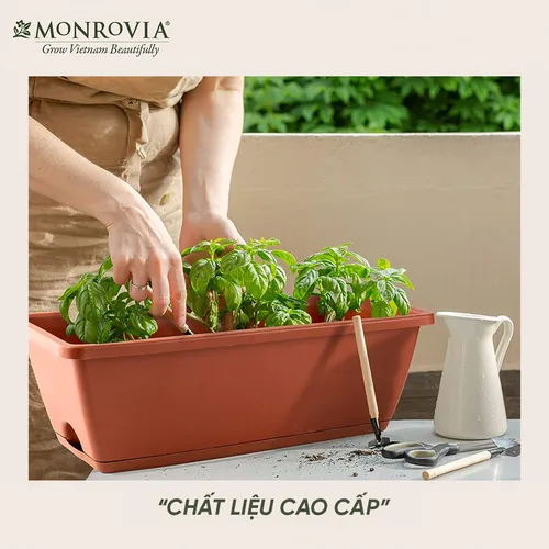 Chậu Cây Treo Ban Công Monrovia – Biến Ban Công Thành Khu Vườn Tươi Mát.